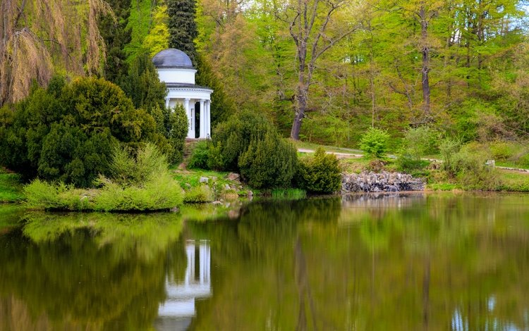 деревья, отражение, парк, schlosspark wilhelmshohe, trees, reflection, park