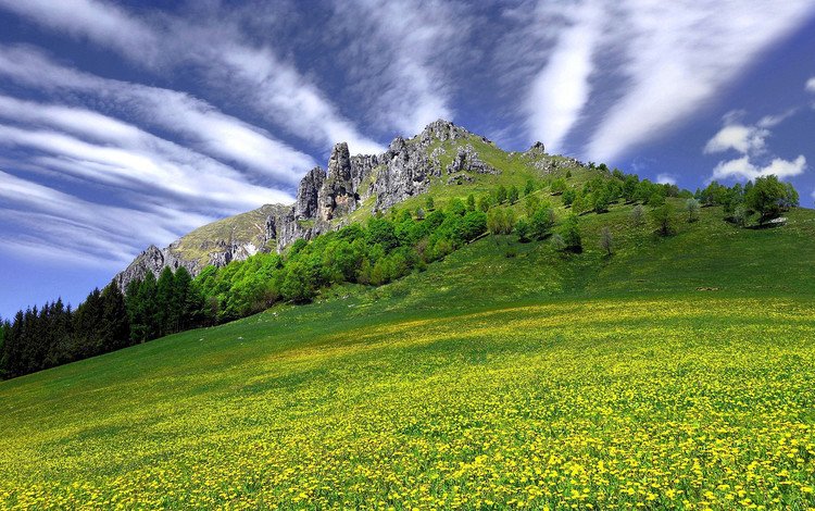 небо, цветы, трава, облака, скала, гора, the sky, flowers, grass, clouds, rock, mountain