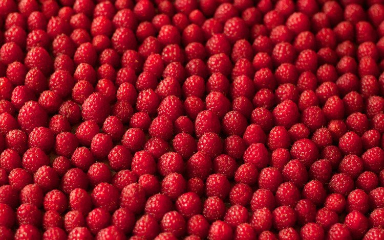 текстура, макро, малина, ягоды, texture, macro, raspberry, berries