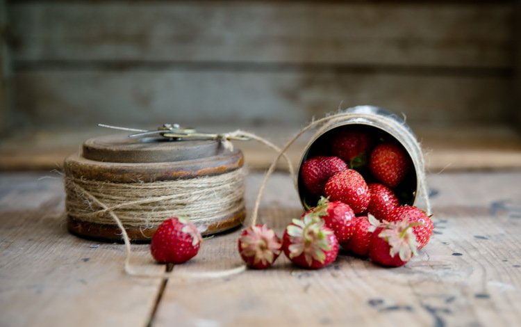 фон, клубника, ягоды, веревка, шпагат, background, strawberry, berries, rope, twine