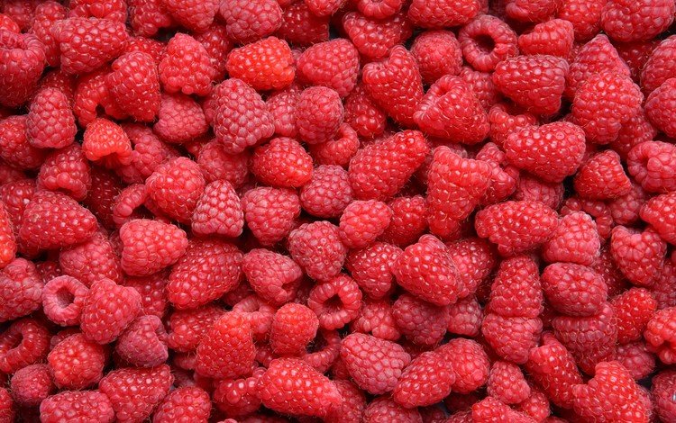 малина, красная, ягоды, много, raspberry, red, berries, a lot