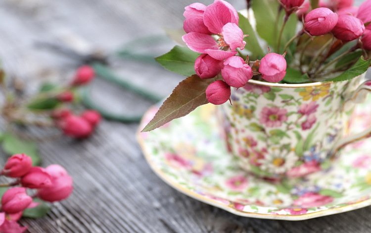 цветы, фон, доски, весна, блюдце, чашка, flowers, background, board, spring, saucer, cup