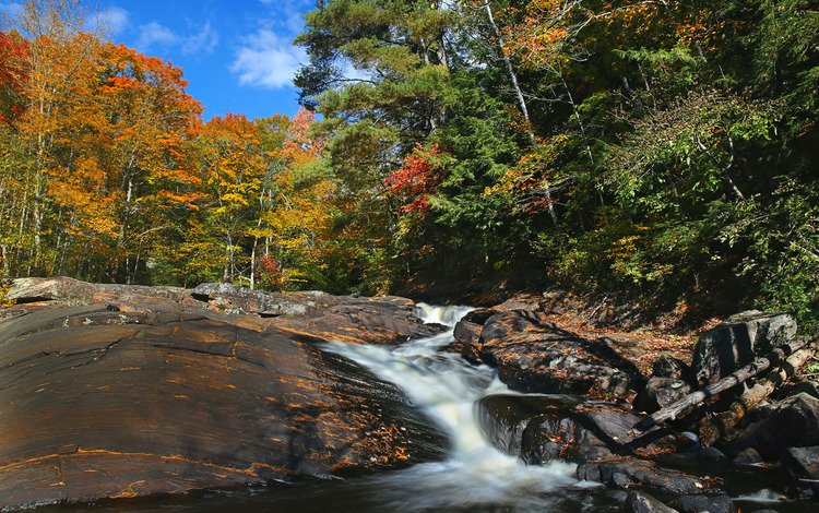 деревья, река, скалы, лес, осень, поток, канада, онтарио, trees, river, rocks, forest, autumn, stream, canada, ontario