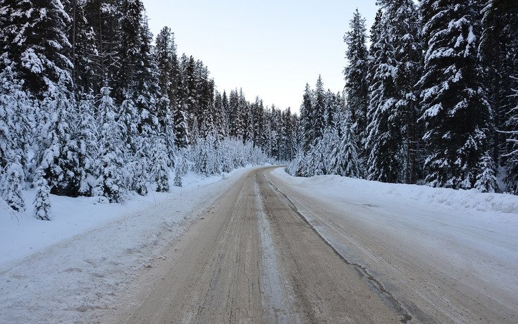 дорога, лес, зима, road, forest, winter