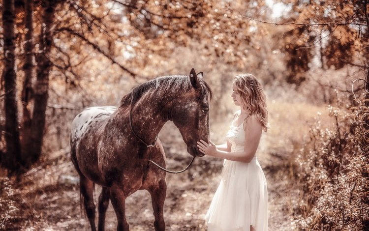 природа, девушка, конь, nature, girl, horse