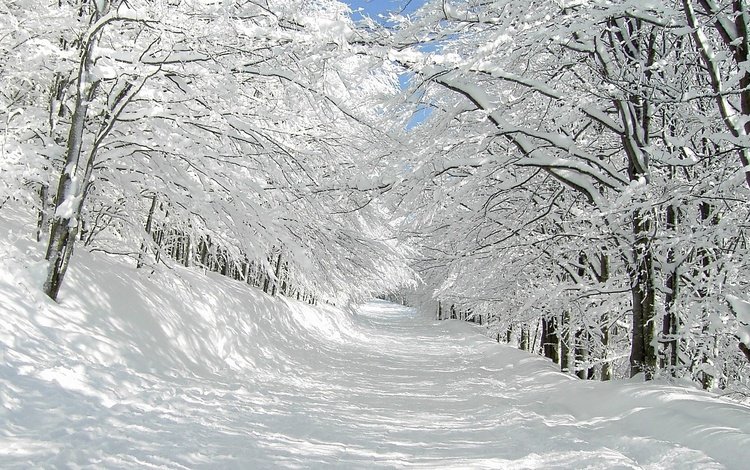 небо, дорога, деревья, солнце, снег, зима, синее, the sky, road, trees, the sun, snow, winter, blue