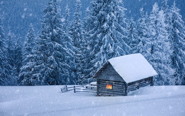 деревья, снег, лес, зима, пейзаж, дом, изба, trees, snow, forest, winter, landscape, house, hut