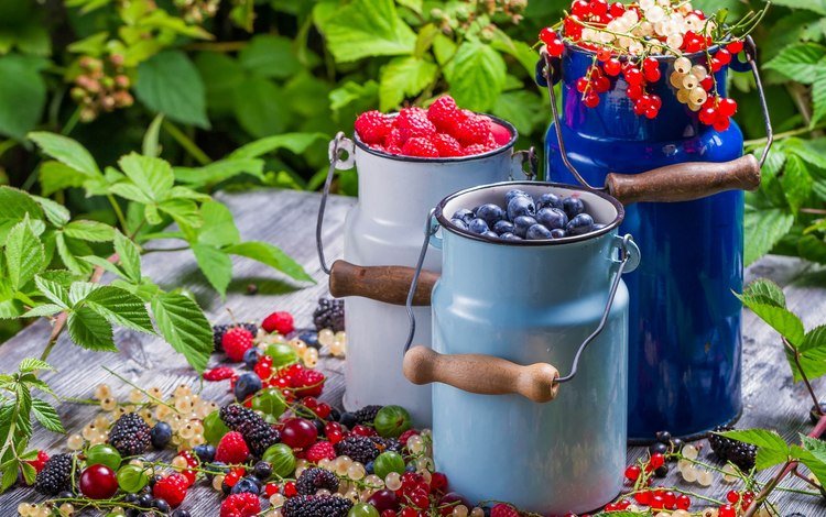 малина, бидоны, ягоды, вишня, черника, три, ежевика, смородина, крыжовник, raspberry, cans, berries, cherry, blueberries, three, blackberry, currants, gooseberry