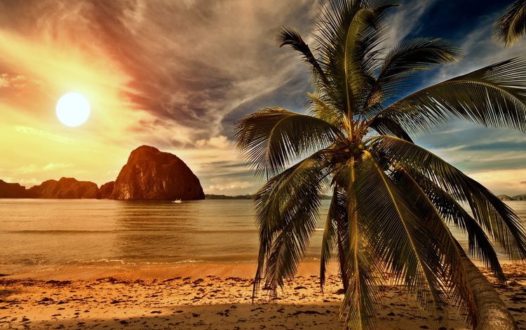 небо, пляж, облака, океан, солнце, пальма, природа, берег, закат, пейзаж, песок, the sky, beach, clouds, the ocean, palma, the sun, nature, shore, sunset, landscape, sand