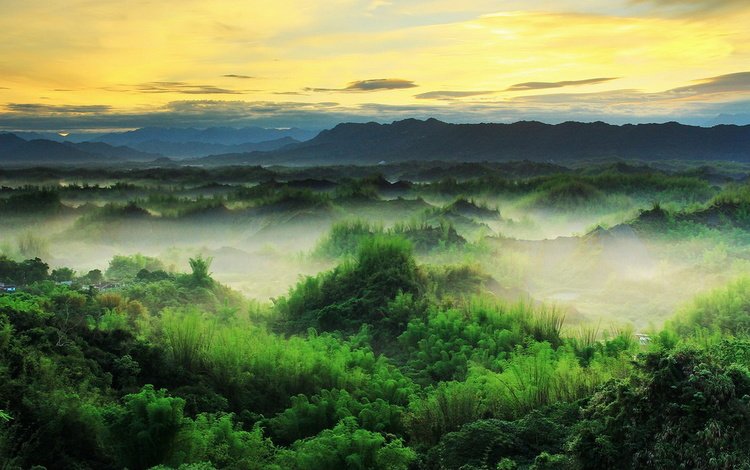 небо, chris photography(王權), горы, природа, пейзаж, туман, рассвет, тайвань, растительность, the sky, mountains, nature, landscape, fog, dawn, taiwan, vegetation