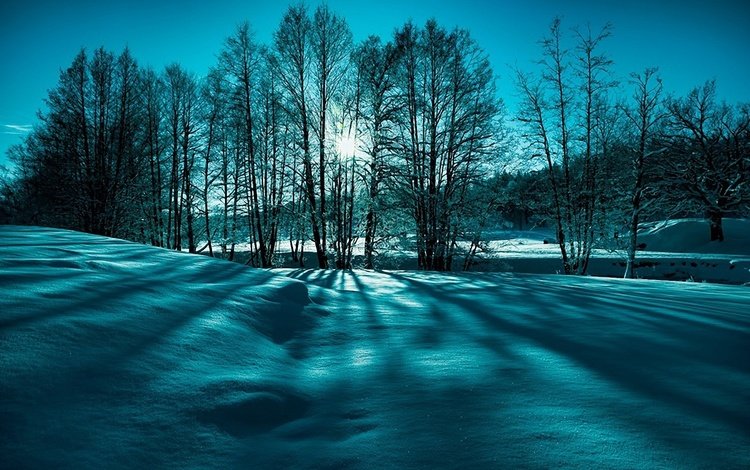 небо, деревья, солнце, снег, природа, зима, лучи, пейзаж, the sky, trees, the sun, snow, nature, winter, rays, landscape