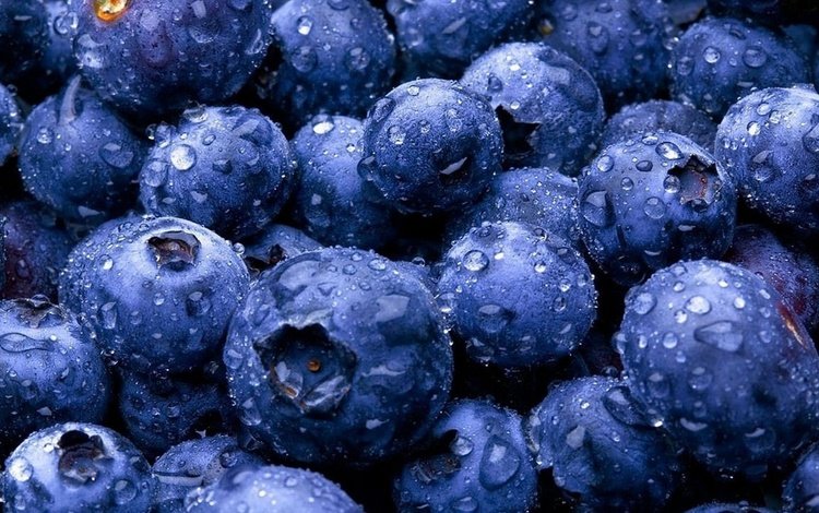 макро, капли, ягоды, черника, macro, drops, berries, blueberries