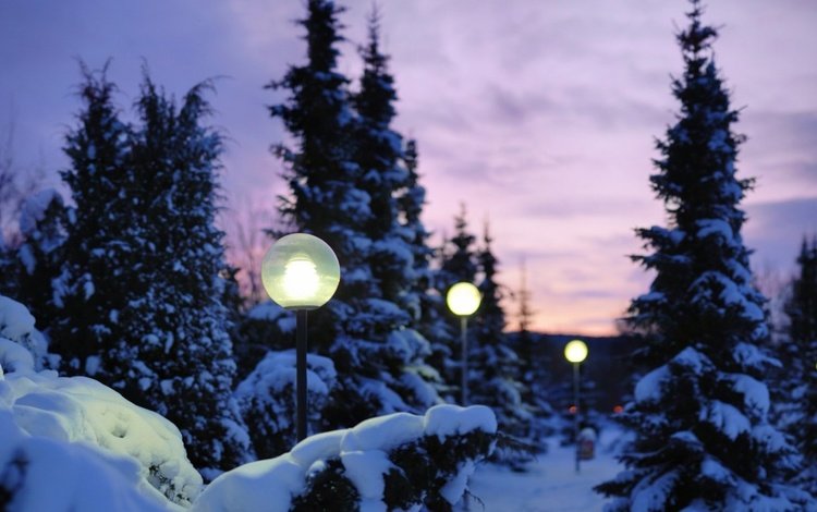 деревья, фонари, огни, вечер, снег, природа, зима, trees, lights, the evening, snow, nature, winter