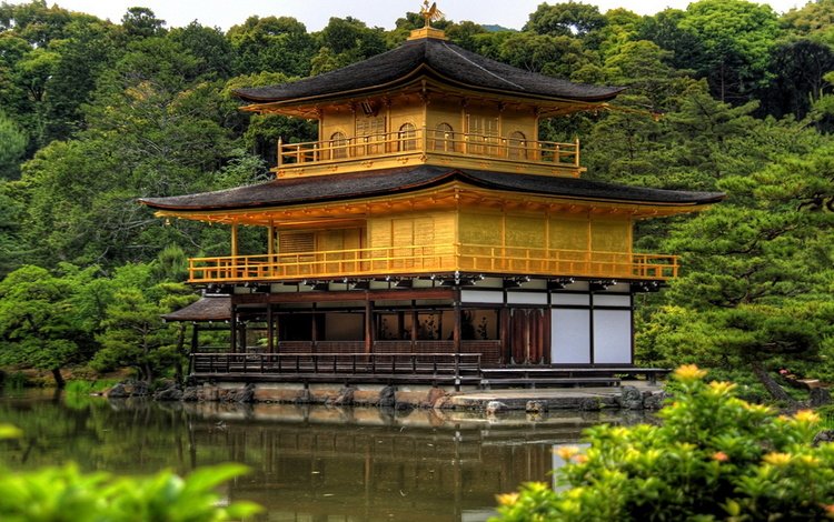 деревья, озеро, храм, япония, киото, золотой павильон, пагоды, кинкаку-дзи, кинкакудзи, trees, lake, temple, japan, kyoto, golden pavilion, pagoda