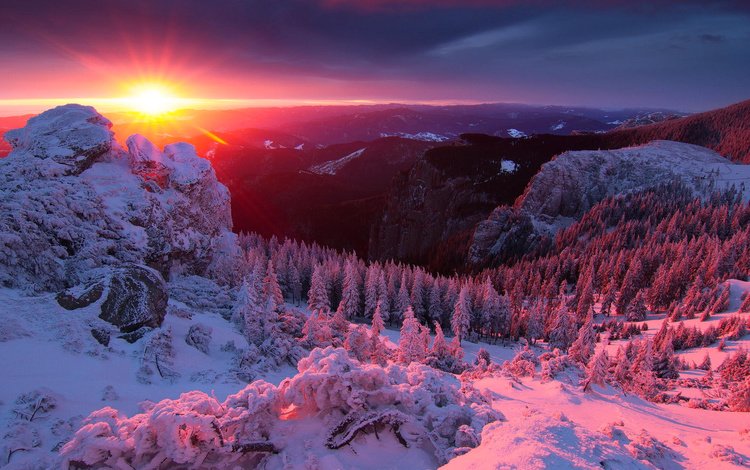 свет, деревья, горы, солнце, снег, закат, зима, альпы, light, trees, mountains, the sun, snow, sunset, winter, alps