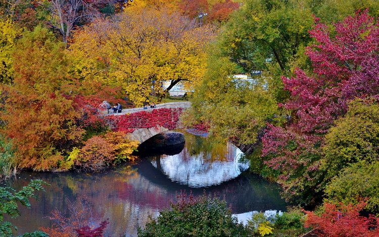 деревья, вода, отражение, парк, мост, осень, trees, water, reflection, park, bridge, autumn