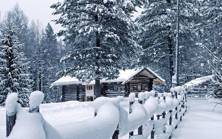 деревья, снег, природа, лес, зима, забор, дом, сугробы, trees, snow, nature, forest, winter, the fence, house, the snow
