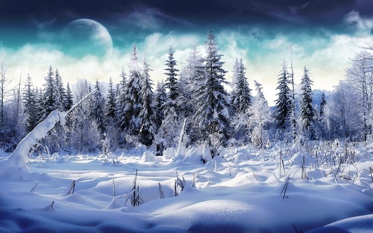 небо, облака, деревья, снег, лес, зима, луна, the sky, clouds, trees, snow, forest, winter, the moon