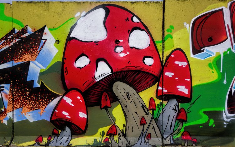 арт, город, стена, грибы, графити, art, the city, wall, mushrooms, grafiti