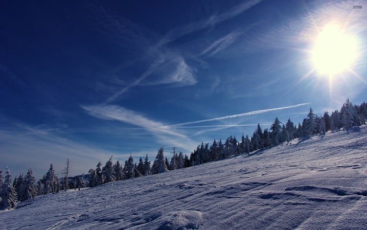 небо, деревья, горы, солнце, снег, зима, the sky, trees, mountains, the sun, snow, winter