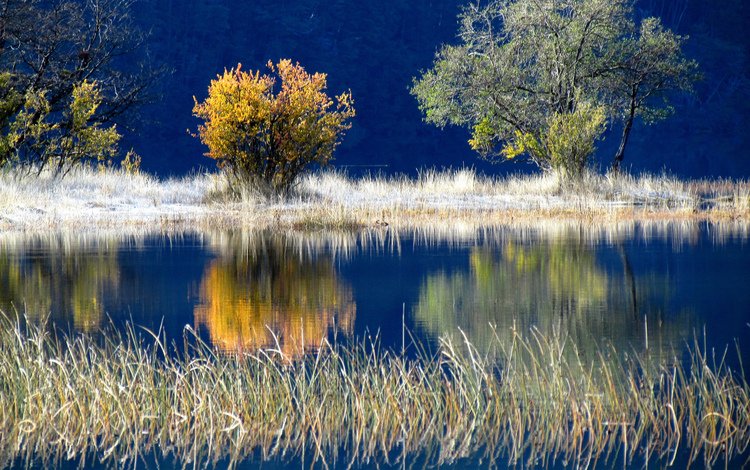 деревья, озеро, осень, trees, lake, autumn