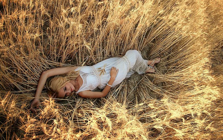 девушка, поле, лето, лежит, пшеница, girl, field, summer, lies, wheat