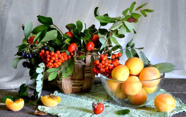 фрукты, шиповник, абрикос, ягоды, натюрморт, рябина, арония, fruit, briar, apricot, berries, still life, rowan, aronia