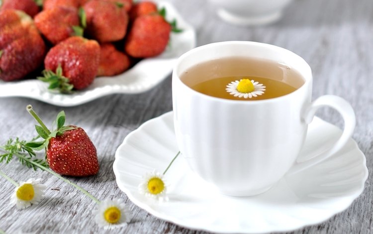 напиток, клубника, ромашка, чашка, чай, drink, strawberry, daisy, cup, tea