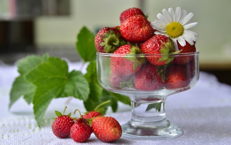 клубника, красный, ромашка, ягоды, вазочка, strawberry, red, daisy, berries, vase