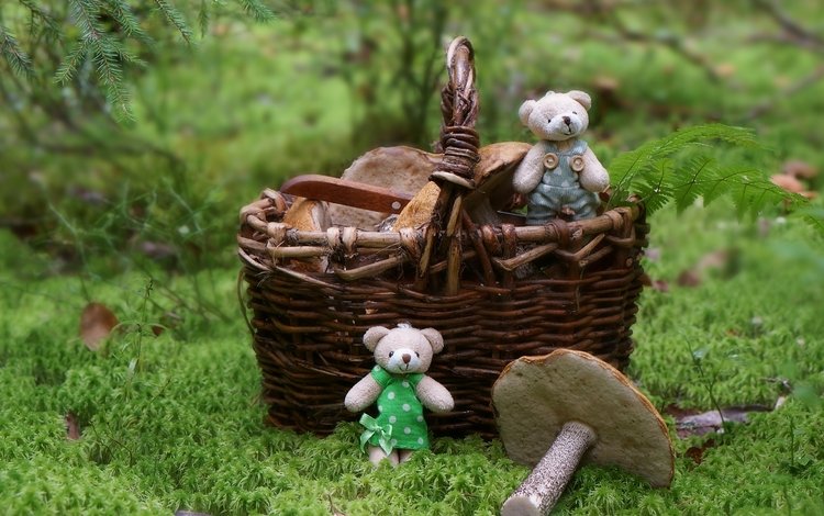 лес, грибы, корзина, игрушки, медвежата, forest, mushrooms, basket, toys, bears