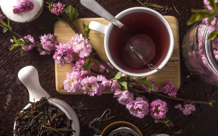 сакура, чашка, чай, sakura, cup, tea