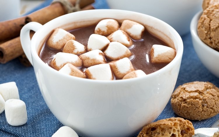 напиток, чашка, печенье, какао, горячий шоколад, маршмеллоу, drink, cup, cookies, cocoa, hot chocolate, marshmallows