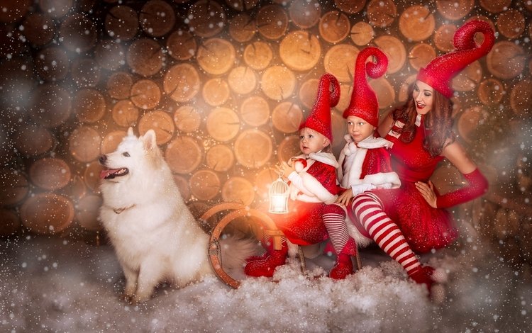 снег, девушка, собака, дети, сани, самоед, колпаки, snow, girl, dog, children, sleigh, samoyed, caps