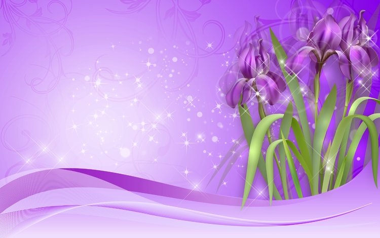 цветы, рисунок, фиолетовые, ирисы, flowers, figure, purple, irises