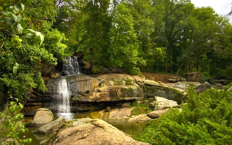 деревья, вода, камни, парк, водопад, поток, trees, water, stones, park, waterfall, stream