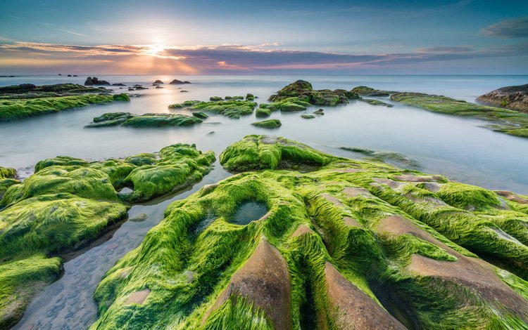 камни, берег, закат, море, водоросли, stones, shore, sunset, sea, algae