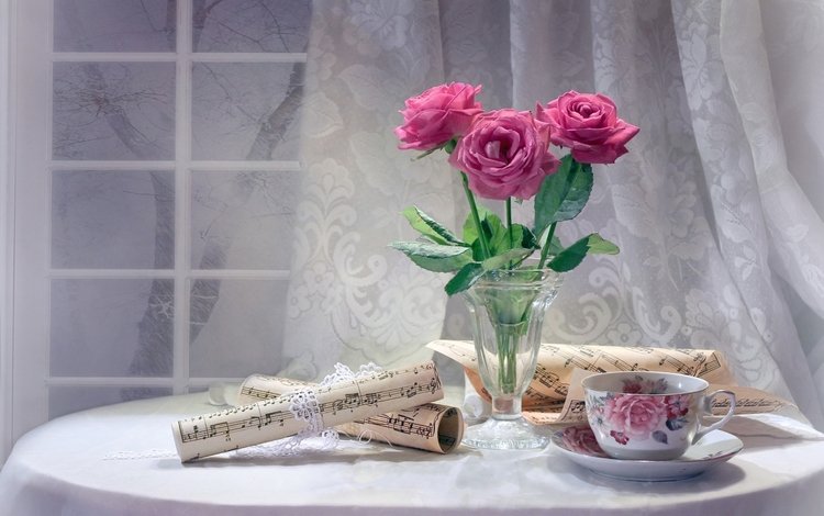 цветы, розы, ноты, окно, чашка, чай, натюрморт, flowers, roses, notes, window, cup, tea, still life
