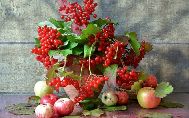 фрукты, яблоки, осень, ягоды, натюрморт, калина, fruit, apples, autumn, berries, still life, kalina