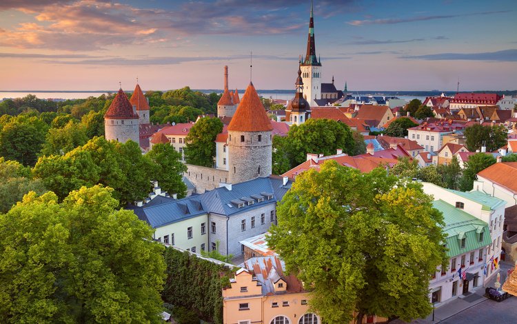 панорама, город, дома, здания, эстония, таллин, таллинн, panorama, the city, home, building, estonia, tallinn