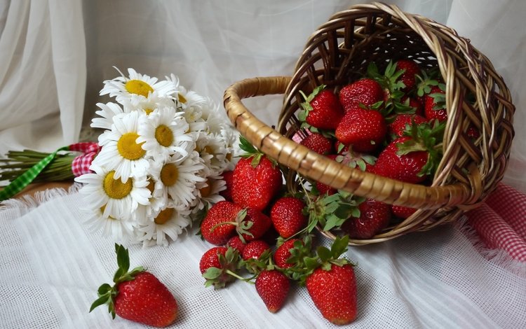 клубника, ромашки, корзина, ягоды, strawberry, chamomile, basket, berries