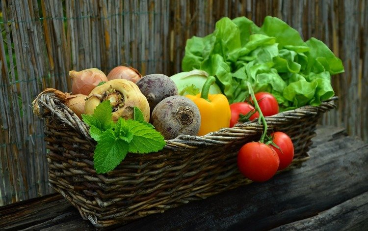 лук, корзина, овощи, помидоры, перец, салат, свекла, bow, basket, vegetables, tomatoes, pepper, salad, beets