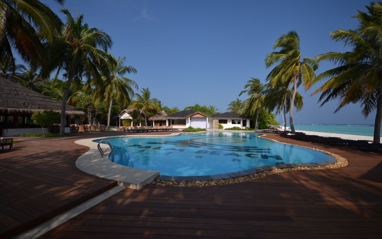 пальмы, бассейн, океан, курорт, palm trees, pool, the ocean, resort