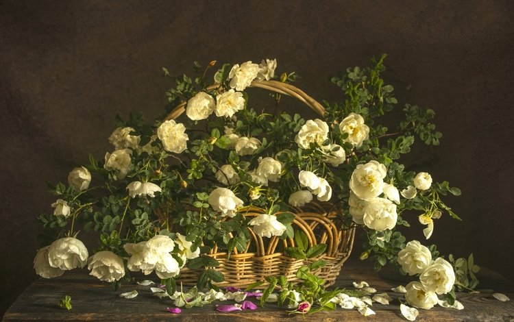 розы, букет, корзина, композиция, roses, bouquet, basket, composition