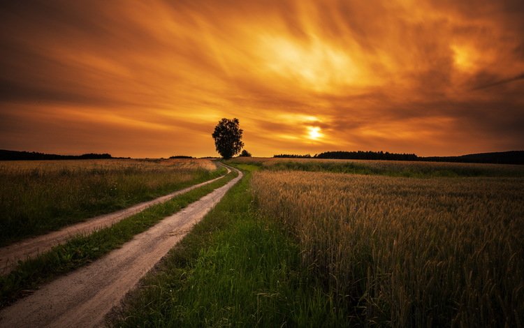 дорога, закат, поле, road, sunset, field