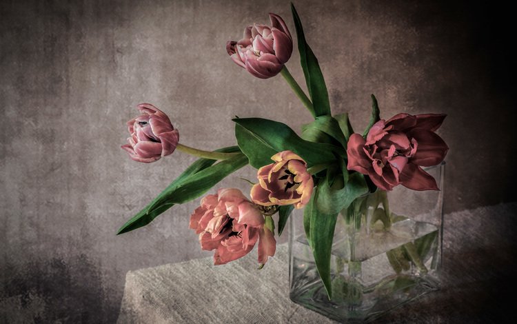 букет, тюльпаны, ваза, скатерть, bouquet, tulips, vase, tablecloth