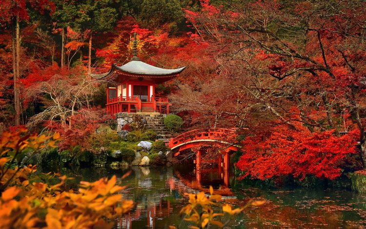 деревья, парк, листва, осень, водоем, пагода, япония, заросли, trees, park, foliage, autumn, pond, pagoda, japan, thickets