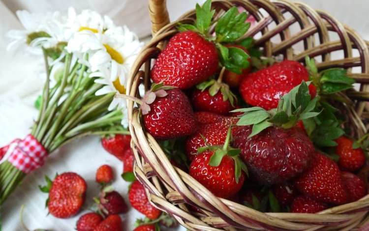 клубника, ромашки, букет, корзина, ягоды, strawberry, chamomile, bouquet, basket, berries