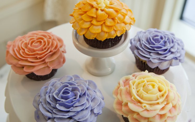 розы, сладкое, тарелка, украшение, выпечка, кексы, roses, sweet, plate, decoration, cakes, cupcakes
