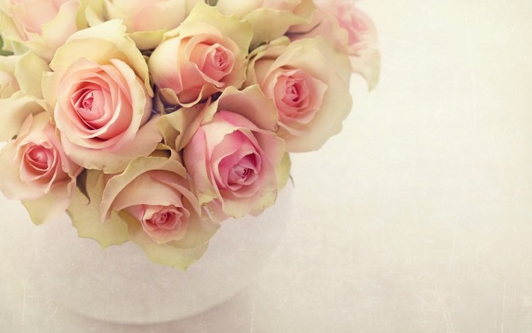 розы, букет, розовый, ваза, roses, bouquet, pink, vase