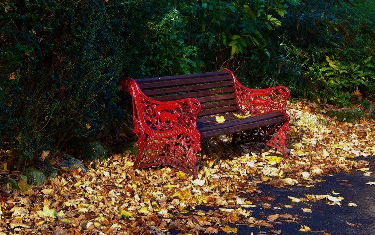 парк, листва, осень, скамейка, листопад, опадают, осен,  листья, park, foliage, autumn, bench, falling leaves, fall, leaves